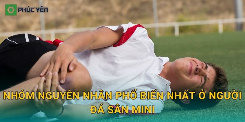 Nhóm nguyên nhân phổ biến nhất ở người đá sân mini
