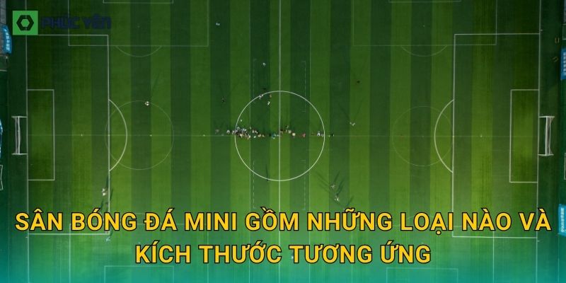 Sân bóng đá mini gồm những loại nào và kích thước tương ứng