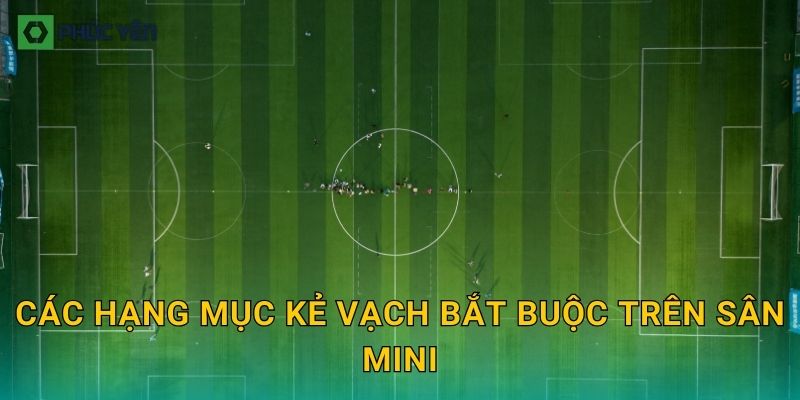 Các hạng mục kẻ vạch bắt buộc trên sân mini
