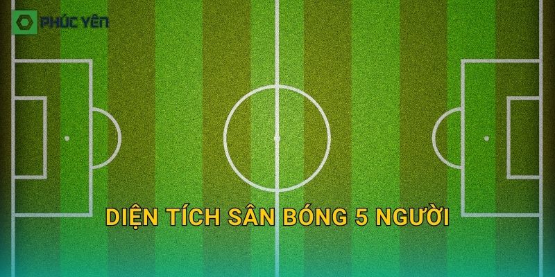 Diện tích sân bóng 5 người: Cách tính nhanh và chọn kích thước phù hợp mặt bằng