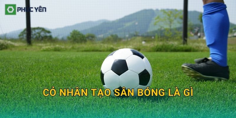 Cỏ nhân tạo sân bóng là gì: Cấu tạo, cách hoạt động và vì sao dùng phổ biến