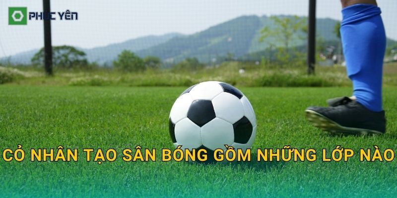 Cỏ nhân tạo sân bóng gồm những lớp nào