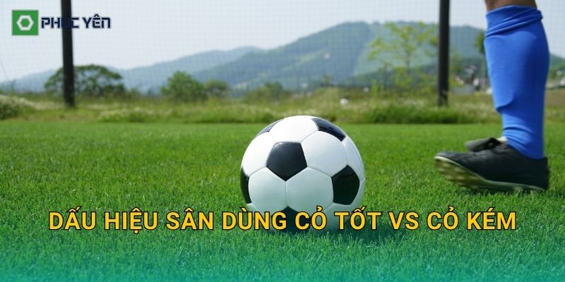Dấu hiệu sân dùng cỏ tốt vs cỏ kém