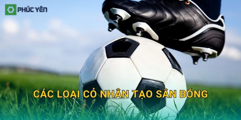 Các loại cỏ nhân tạo sân bóng: Phân loại theo sợi cỏ, chiều cao và mục đích sử dụng