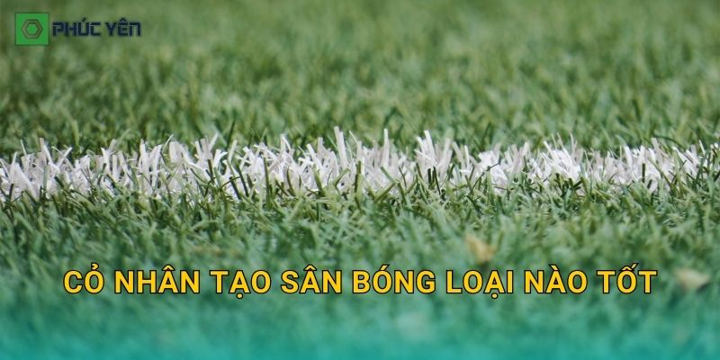 Cỏ nhân tạo sân bóng loại nào tốt: Tiêu chí chọn “đá đã” và bền theo năm