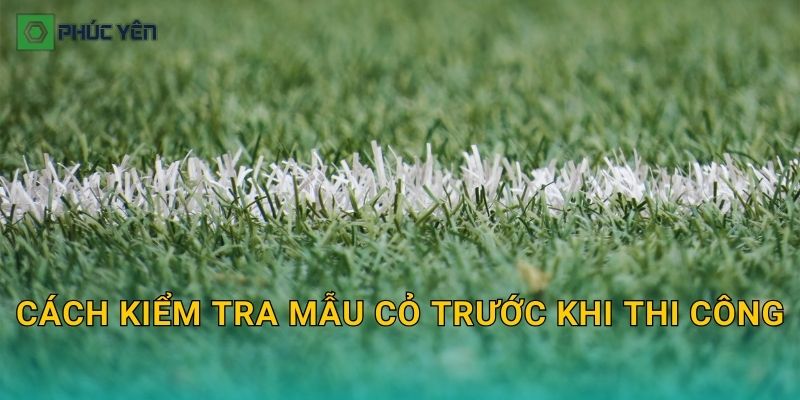 Cách kiểm tra mẫu cỏ trước khi thi công