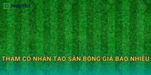 Thảm cỏ nhân tạo sân bóng giá bao nhiêu: Cách tính chi phí theo m2 và cấu hình cỏ