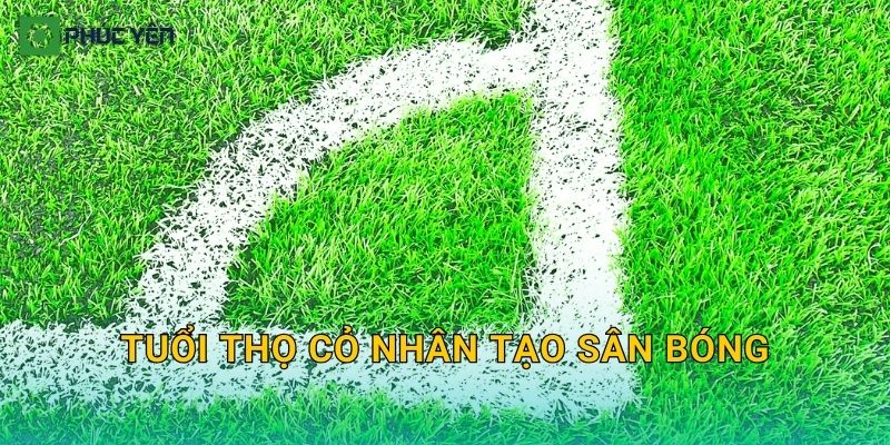 Tuổi thọ cỏ nhân tạo sân bóng: Dùng được bao lâu và cách kéo dài bền nhất