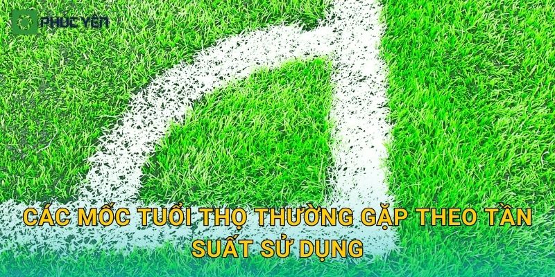 Các mốc tuổi thọ thường gặp theo tần suất sử dụng