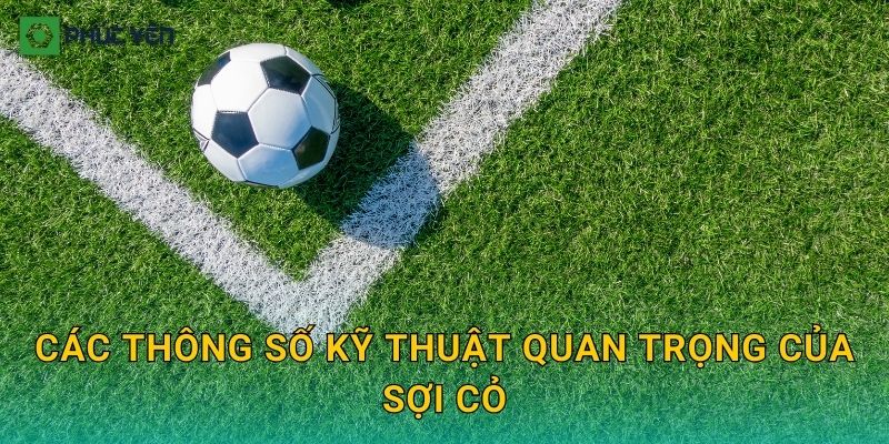 Các thông số kỹ thuật quan trọng của sợi cỏ