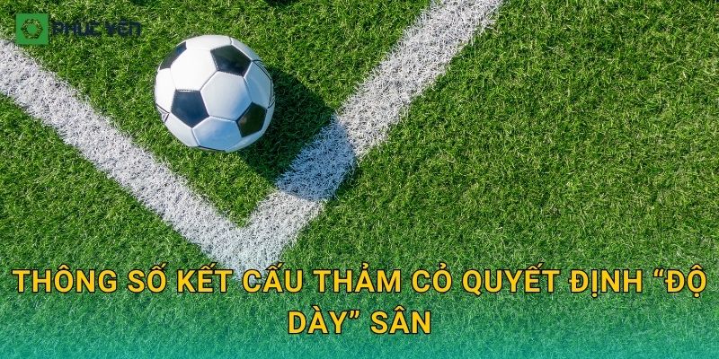 Thông số kết cấu thảm cỏ quyết định “độ dày” sân
