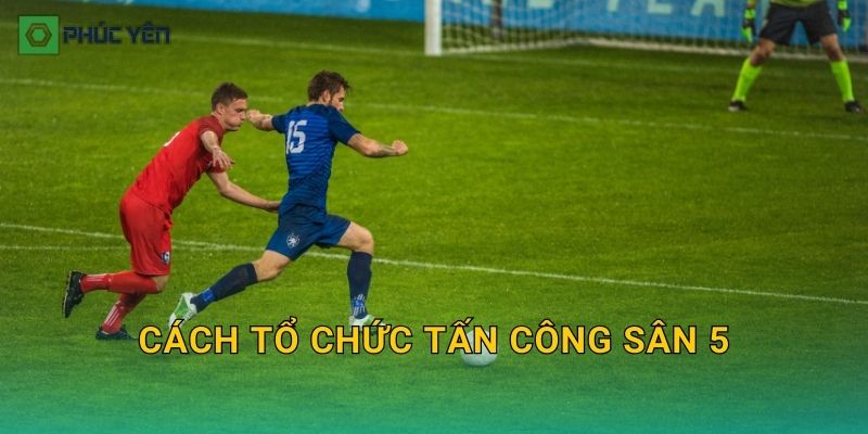 Cách tổ chức tấn công sân 5: Bài miếng dễ áp dụng để tạo cơ hội ghi bàn