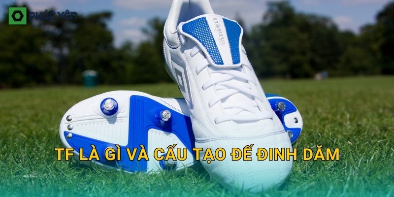 TF là gì và cấu tạo đế đinh dăm
