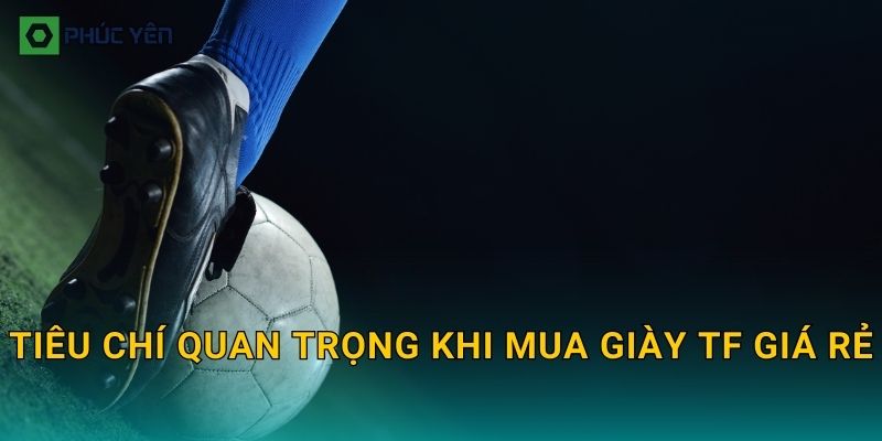 Tiêu chí quan trọng khi mua giày TF giá rẻ