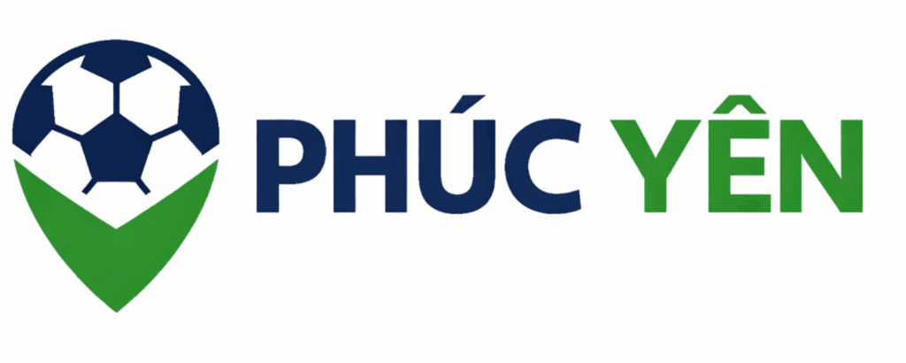 https://sanbongdaminiphucyen.vn/